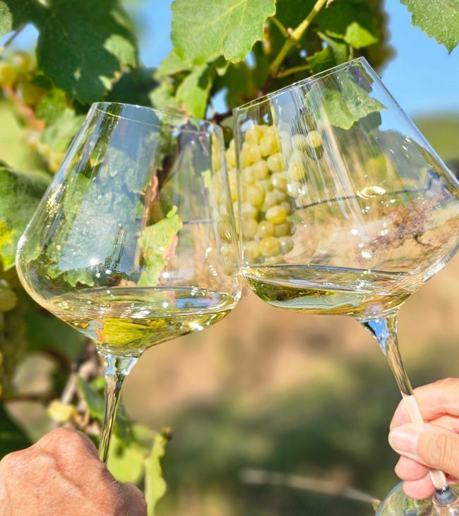 Weingut kaufen Rheingau - Weingläser Prost