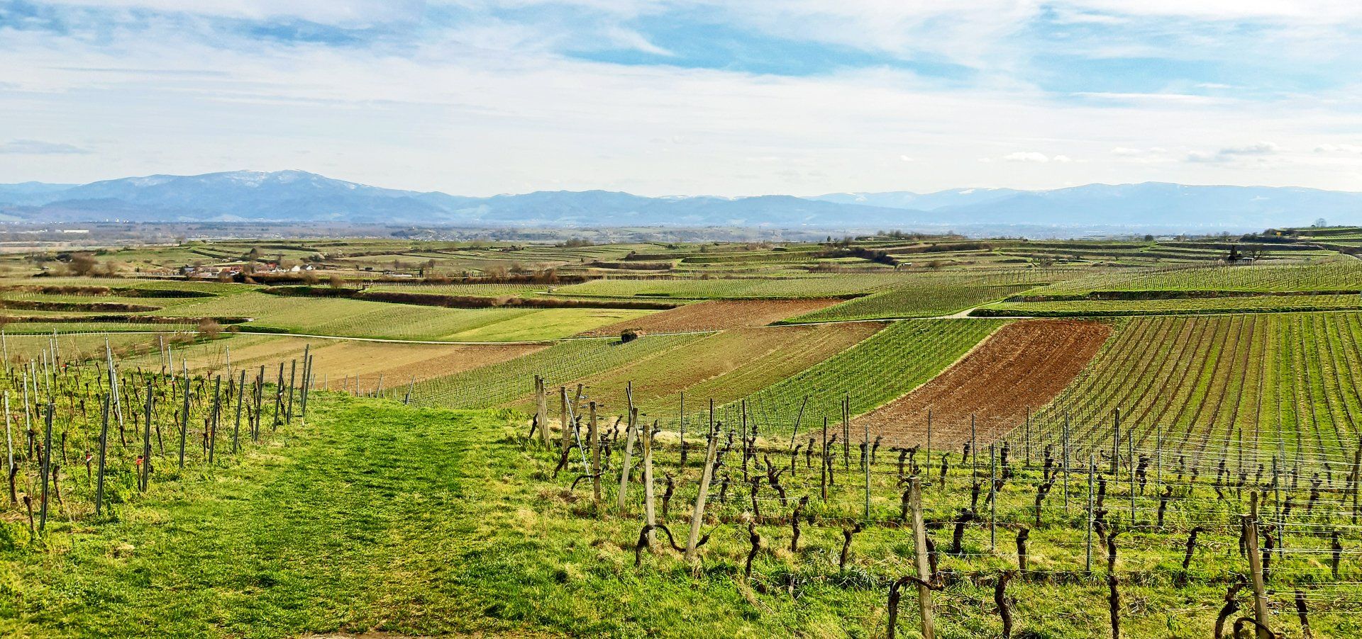 Zukunft gestalten mit Weitsicht - wir unterstützen Sie dabei.