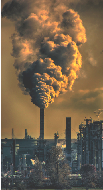 shop sustainable fashion, handcraft, innovation, trendy clothes and accessories, ethically made, eco-conscious, upcycling fashion, All, New, Full Body, Dress, Suit, Overall, Tos, Tank Top, T-Shirt, Polo, Sweatshirt, Pullover, Hoodie, Vest, Blazer, JAcket, Bottoms, Skirt, Short, Pants, Accessories, Hat, Bag, Softwear, Hardwear, Footwear, Do It Yourself, Banana Silk
Kaufen Sie nachhaltige Mode, Handarbeit, Innovation, trendige Kleidung und Accessoires, ethisch hergestellt, umweltbewusst, Upcycling-Mode, Alles, Neu, Ganzkörper, Kleid, Anzug, Overall, Tos, Tanktop, T-Shirt, Polo, Sweatshirt, Pullover, Hoodie, Weste, Blazer, Jacke, Unterteile, Röcke, Shorts, Hosen, Accessoires, Mütze, Tasche, Softwear, Hardwear, Schuhe, Do It Yourself, Bananenseide