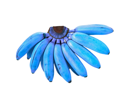 shop sustainable fashion, handcraft, innovation, trendy clothes and accessories, ethically made, eco-conscious, upcycling fashion, All, New, Full Body, Dress, Suit, Overall, Tos, Tank Top, T-Shirt, Polo, Sweatshirt, Pullover, Hoodie, Vest, Blazer, JAcket, Bottoms, Skirt, Short, Pants, Accessories, Hat, Bag, Softwear, Hardwear, Footwear, Do It Yourself, Banana Silk
Kaufen Sie nachhaltige Mode, Handarbeit, Innovation, trendige Kleidung und Accessoires, ethisch hergestellt, umweltbewusst, Upcycling-Mode, Alles, Neu, Ganzkörper, Kleid, Anzug, Overall, Tos, Tanktop, T-Shirt, Polo, Sweatshirt, Pullover, Hoodie, Weste, Blazer, Jacke, Unterteile, Röcke, Shorts, Hosen, Accessoires, Mütze, Tasche, Softwear, Hardwear, Schuhe, Do It Yourself, Bananenseide