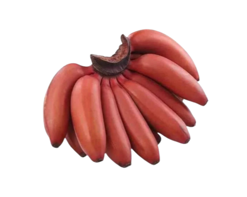 shop sustainable fashion, handcraft, innovation, trendy clothes and accessories, ethically made, eco-conscious, upcycling fashion, All, New, Full Body, Dress, Suit, Overall, Tos, Tank Top, T-Shirt, Polo, Sweatshirt, Pullover, Hoodie, Vest, Blazer, JAcket, Bottoms, Skirt, Short, Pants, Accessories, Hat, Bag, Softwear, Hardwear, Footwear, Do It Yourself, Banana Silk
Kaufen Sie nachhaltige Mode, Handarbeit, Innovation, trendige Kleidung und Accessoires, ethisch hergestellt, umweltbewusst, Upcycling-Mode, Alles, Neu, Ganzkörper, Kleid, Anzug, Overall, Tos, Tanktop, T-Shirt, Polo, Sweatshirt, Pullover, Hoodie, Weste, Blazer, Jacke, Unterteile, Röcke, Shorts, Hosen, Accessoires, Mütze, Tasche, Softwear, Hardwear, Schuhe, Do It Yourself, Bananenseide