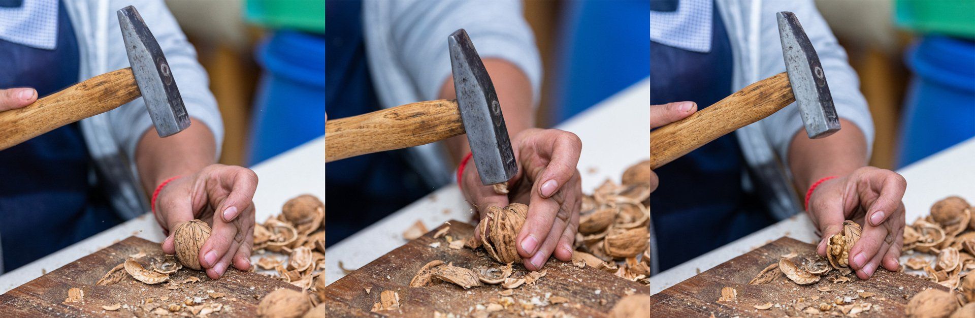 Fernuci - Walnut producer - Moldova