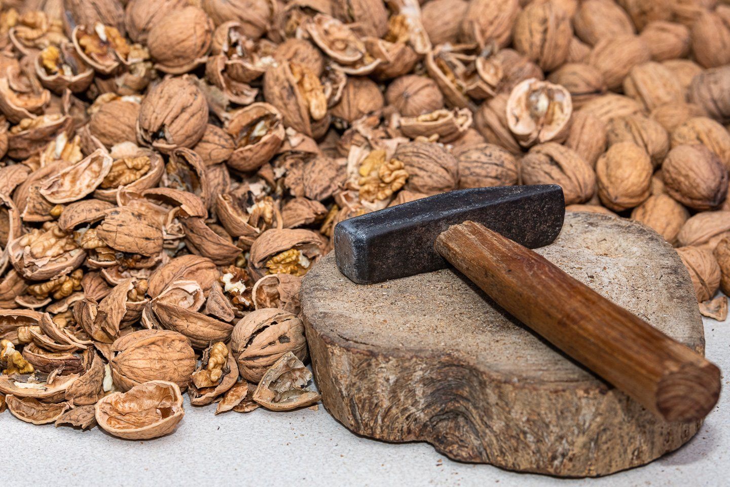 Fernuci - Walnut producer - Moldova