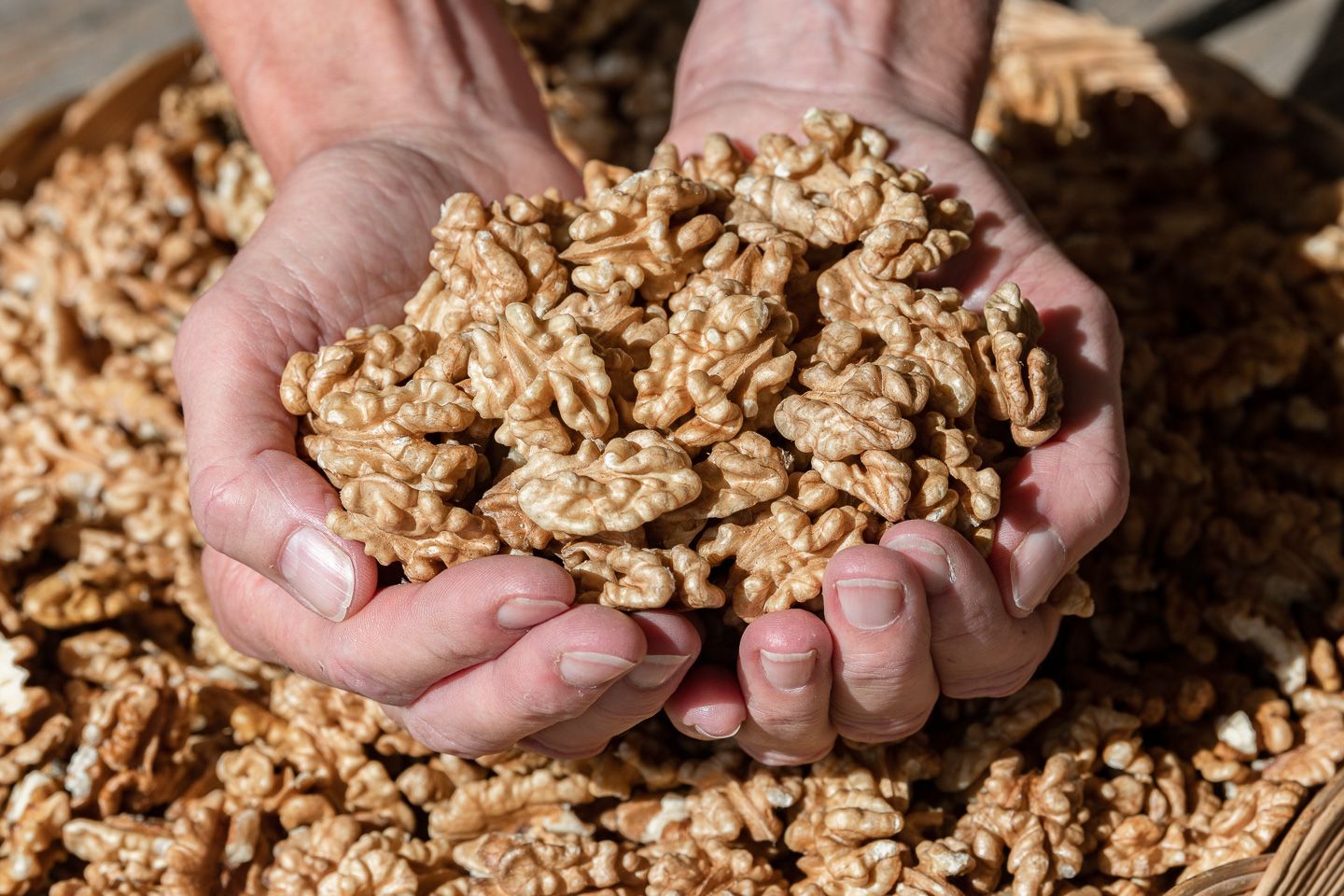 Fernuci - Walnut producer - Moldova