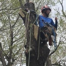 Shi, Primary Climber and Arborial Artist