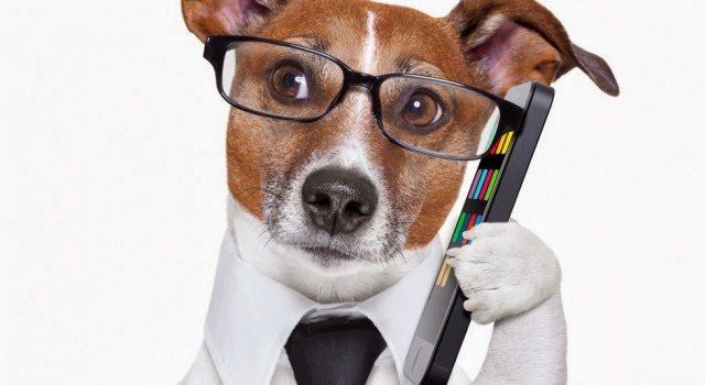 Per ordini e info contattami dal lunedì al venerdi dalle 9 alle 15