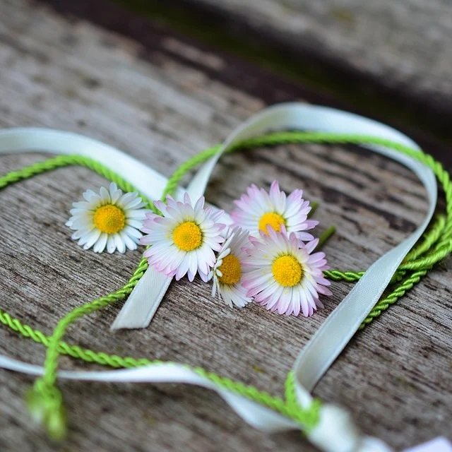 Daten MeisterCoach Daten seelenzentrierter MeisterCoach