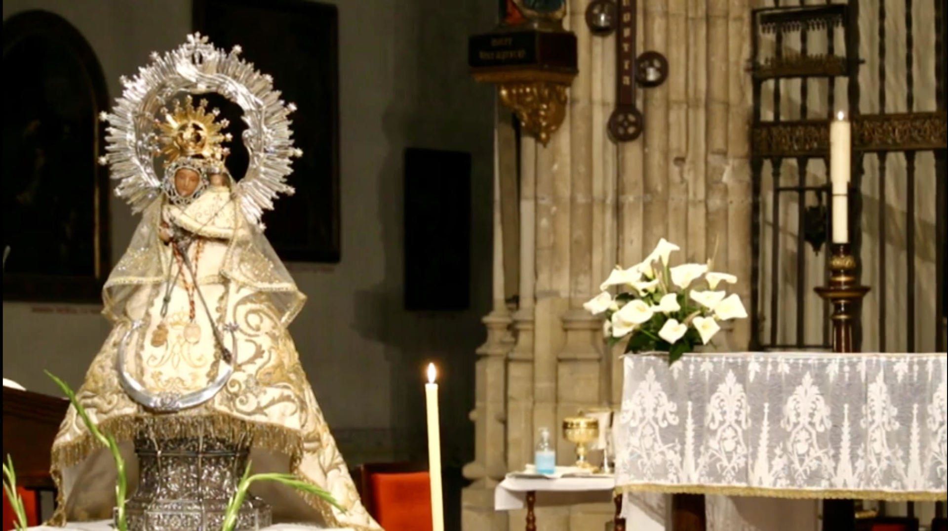 Magistral, mayo 2020 Magistral, mayo 2020