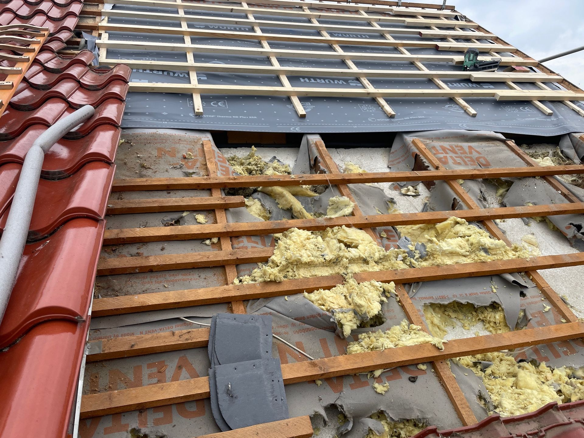 Dachschaden durch Marder, Marder frisst Dämmung