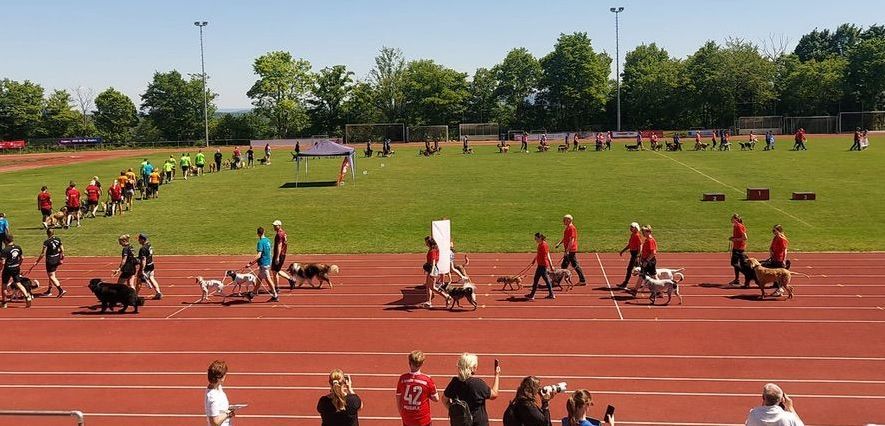 Gruppenbild der Begleithundeprüfungs-Anwärter am Eingang des Vereinsgeländes.