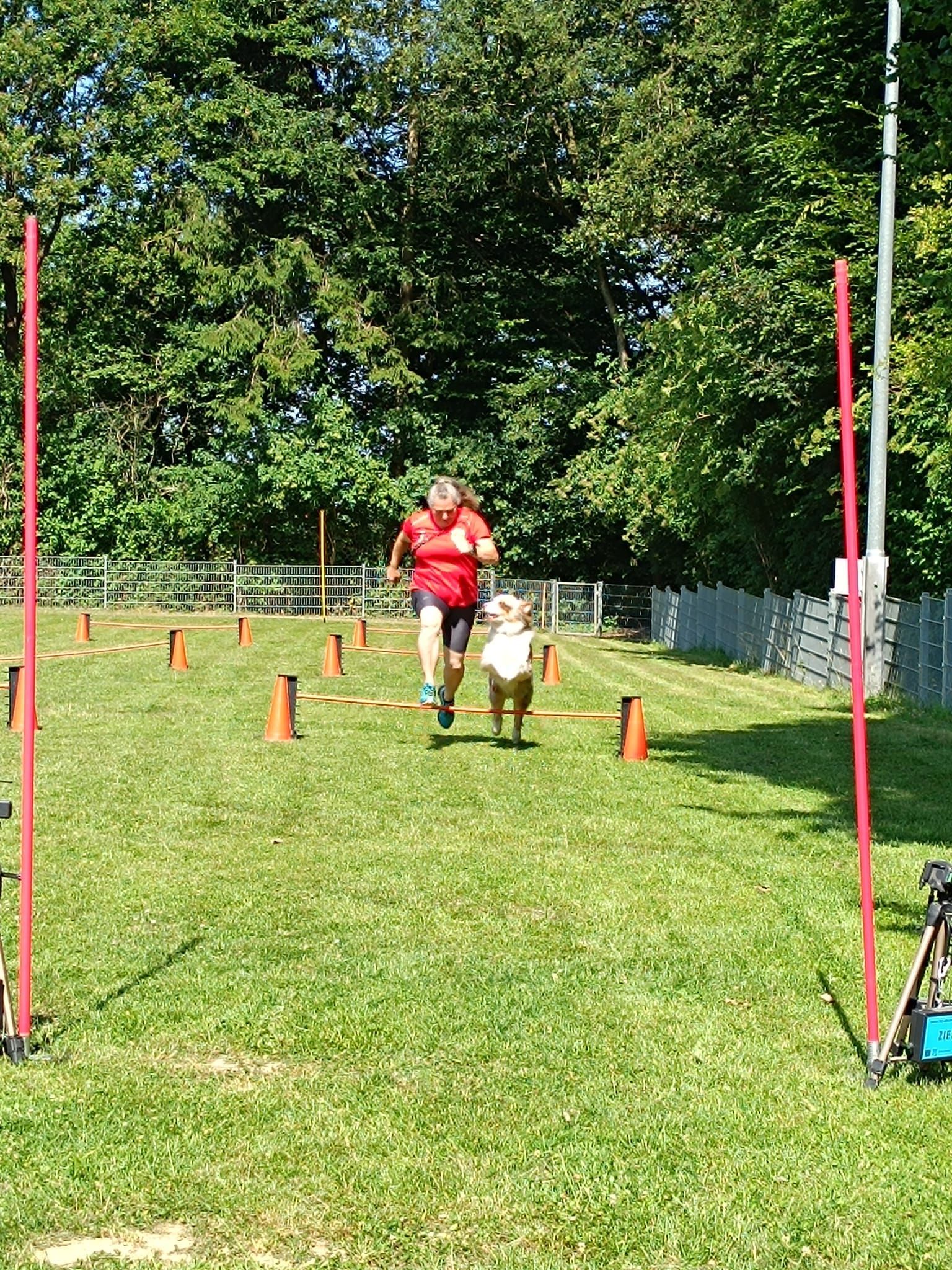 Petra an den Hürden (VK3)