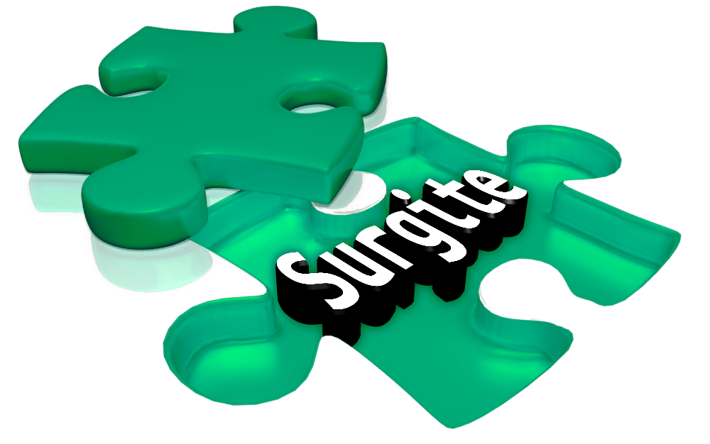 Logo Surgite Coaching. zwei Puzzleteile, die zueinander apssen. Ein Puzzlestück enthält das Wort Surgite