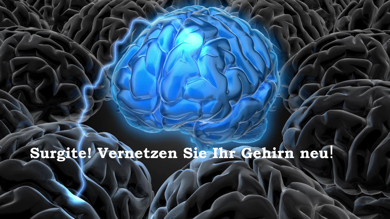 Stressmanagement fürs Hirn: Logo von Surgite-coaching Akademie SCA: Vernetzen Sie Ihr Gehinr