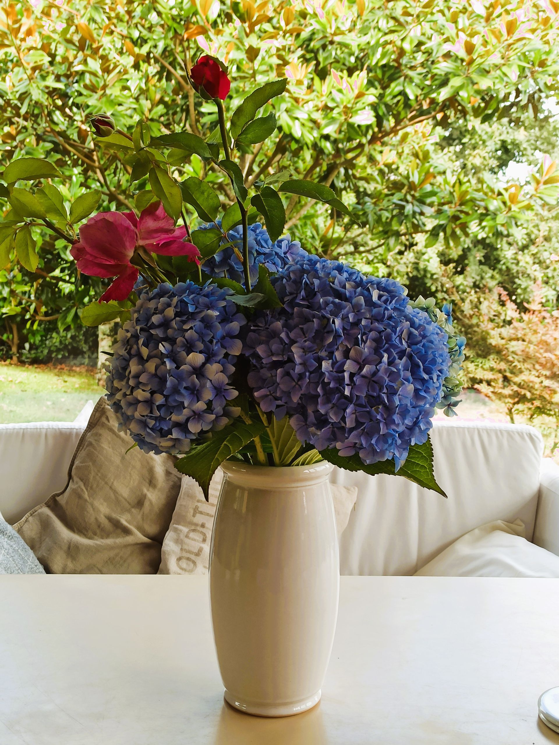 The hydrangea is a plant that requires little care and proper pruning will reward you with its exube