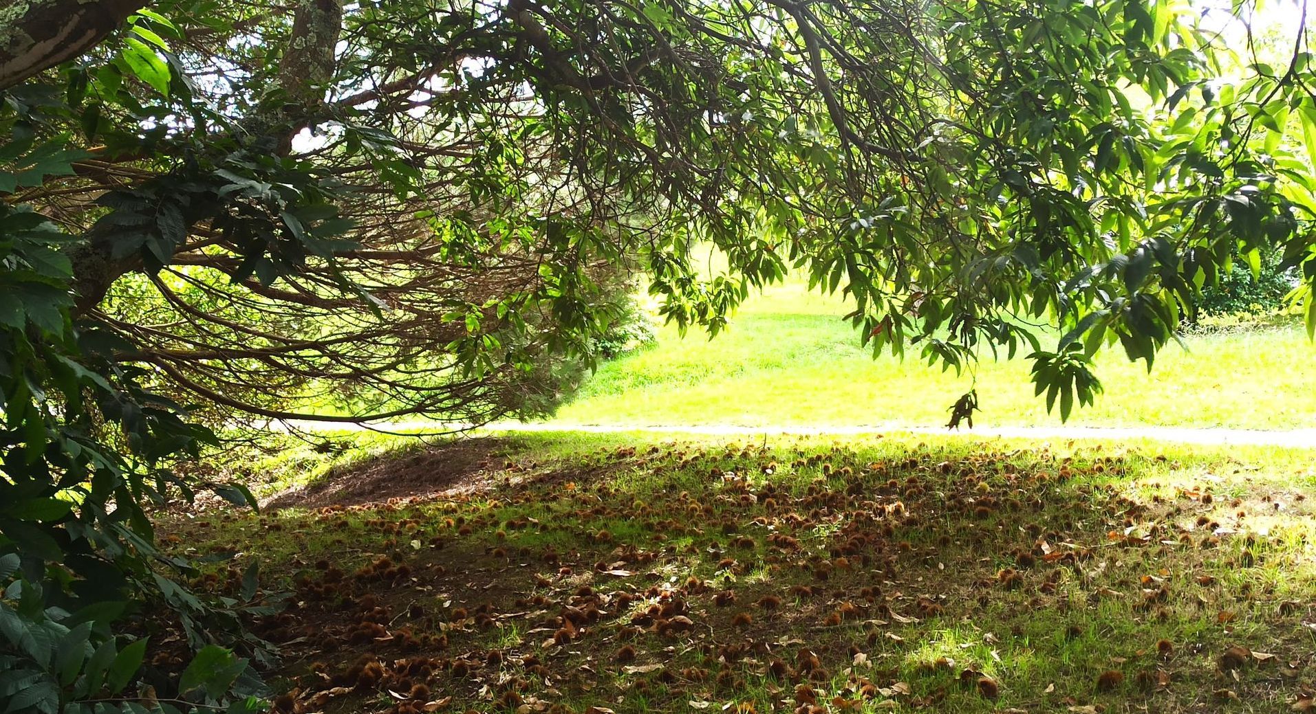 Jardín