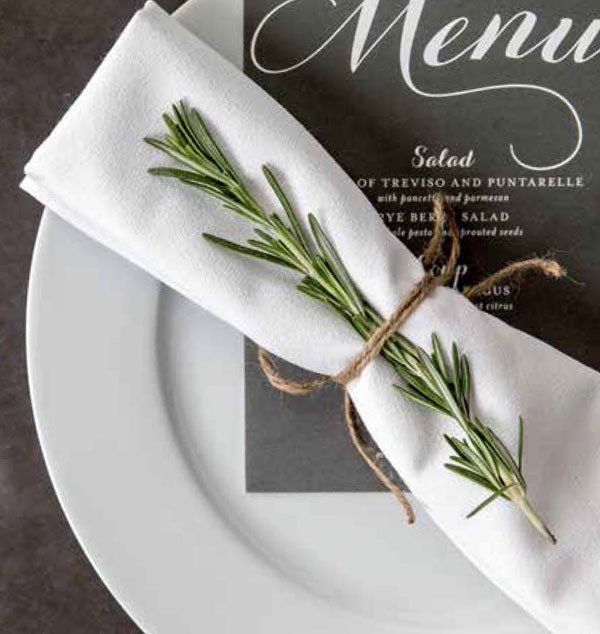 Hospitality Woven Cotton Momie Weave Napkins