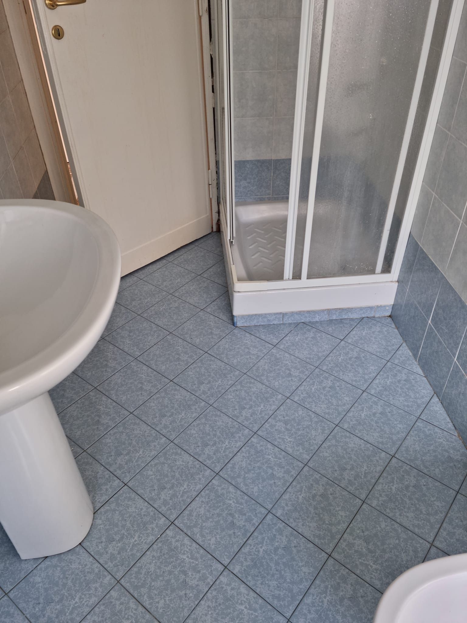 bonifica guano piccioni