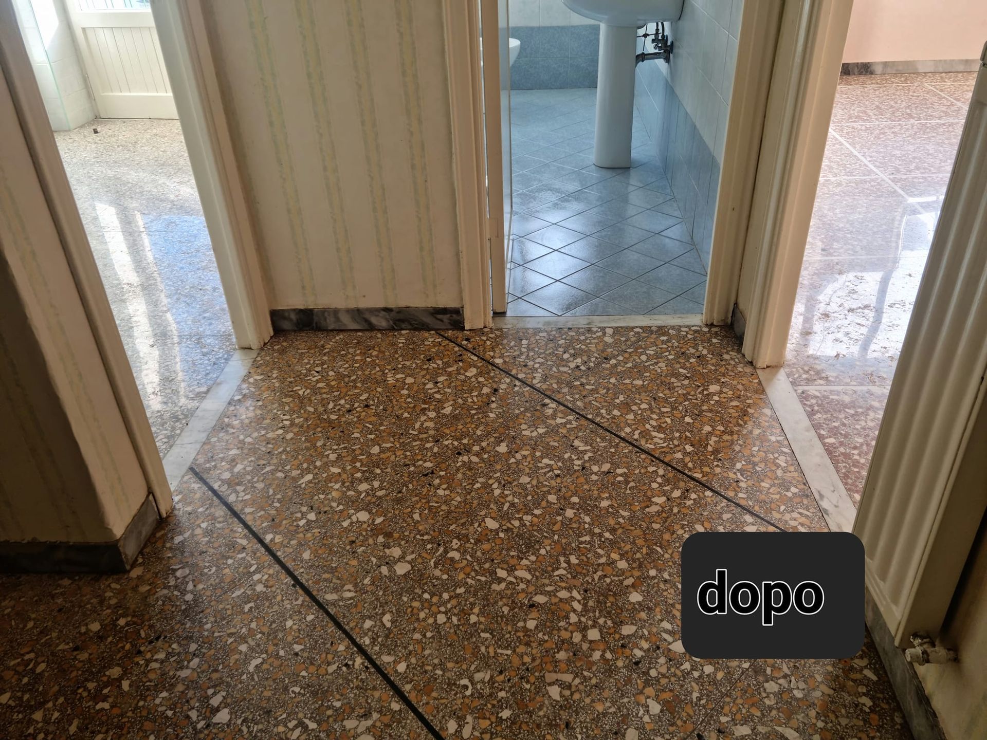 pulizie guano piccioni roma