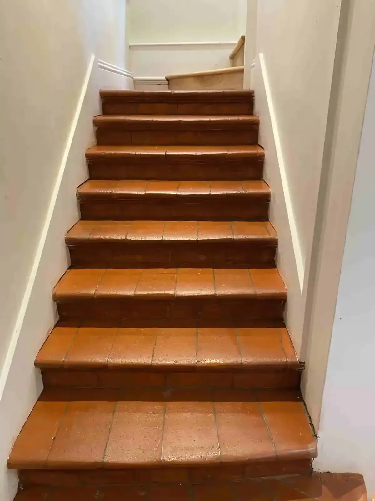 trattamento scala in cotto Roma