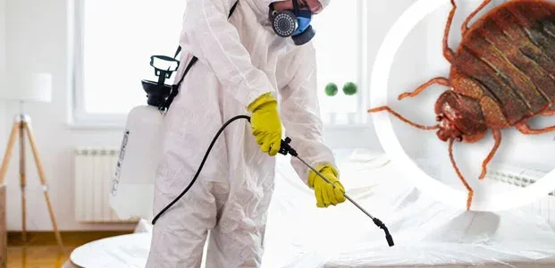 disinfestazione cimici dei letti Roma