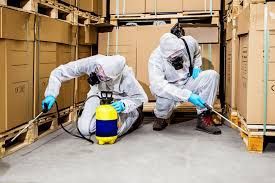 derattizzazione roma