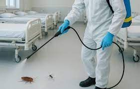 disinfestazione cimici da letto Roma