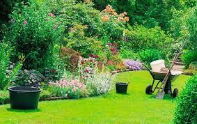 pulizia dei giardini