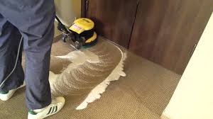 impresa pulizie roma pulizia moquette a roma