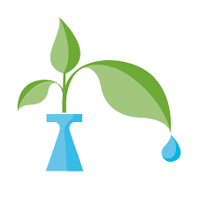 Roma-pulizie.com Impresa di pulizie eco