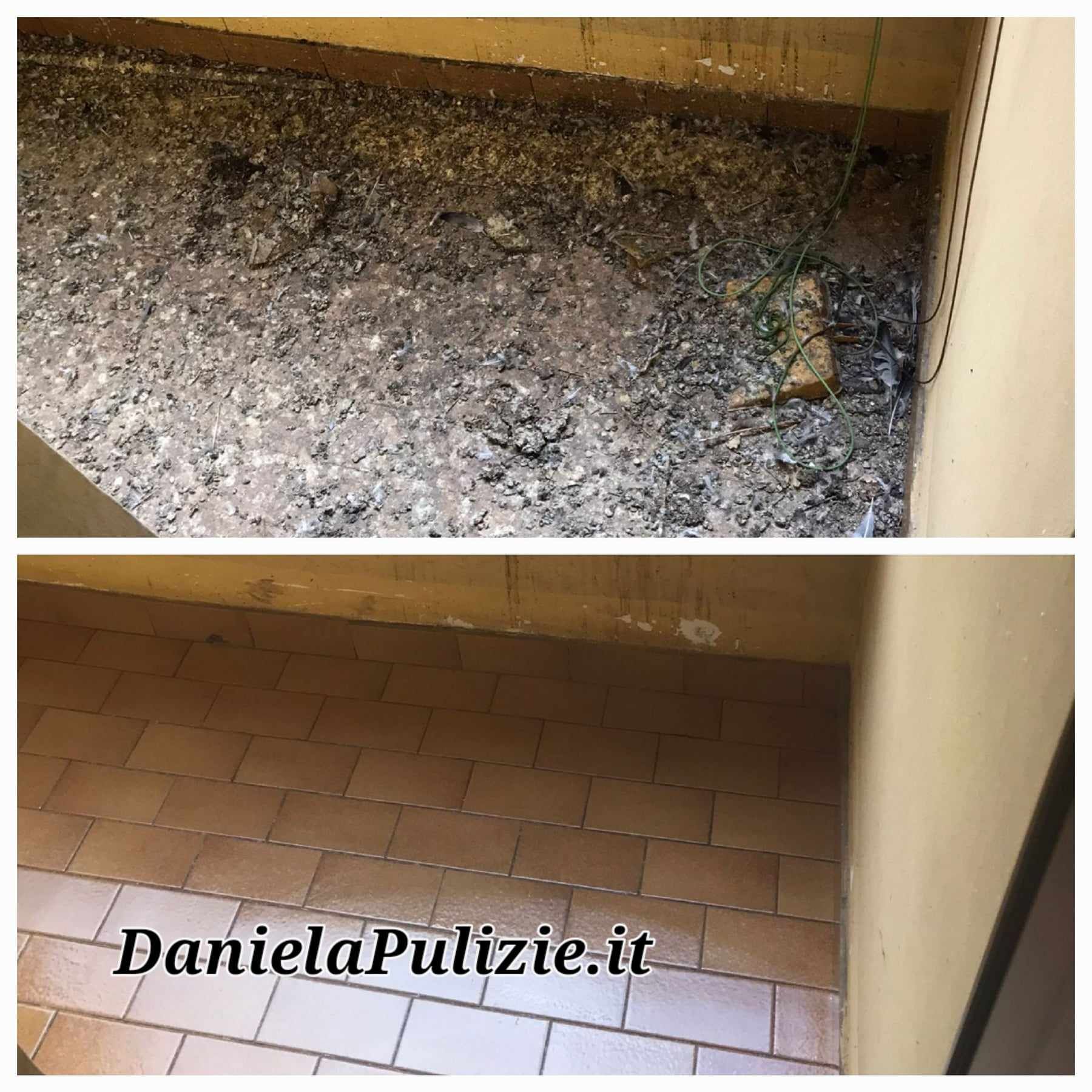 Pulizia soffitta dal guano piccione Roma