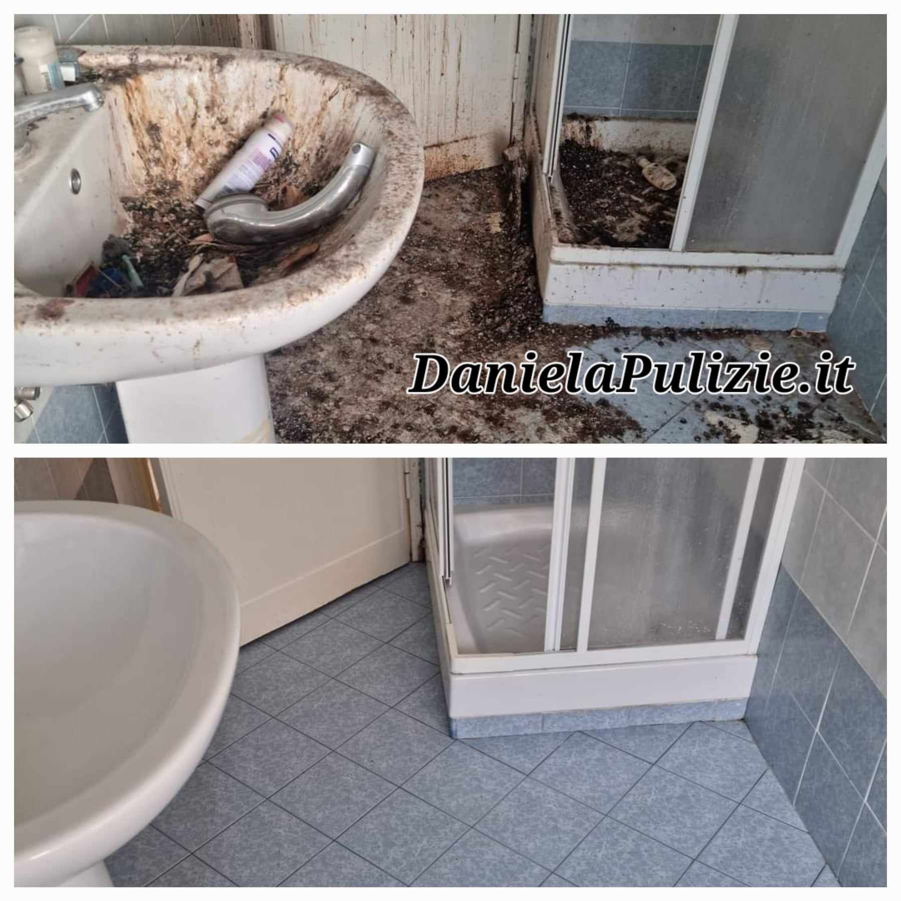 pulizie escrementi dei piccioni roma