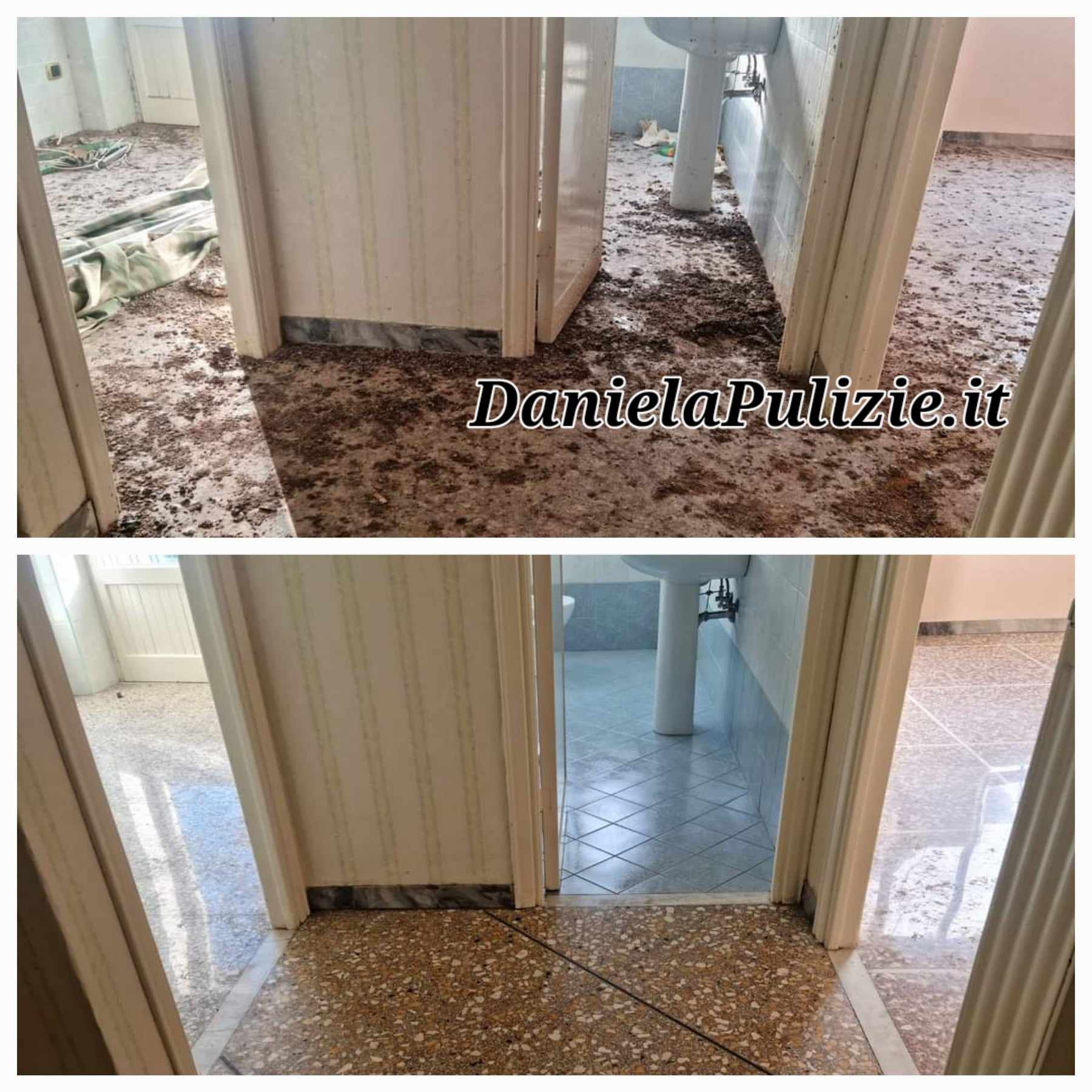 bonifica e Pulizia appartamento dal guano piccione Roma