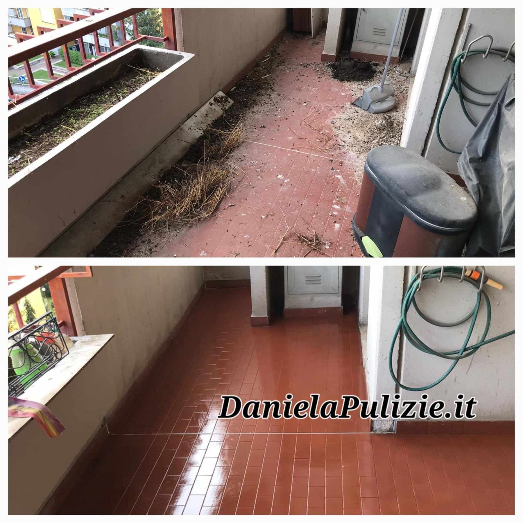 bonifica guano piccioni roma