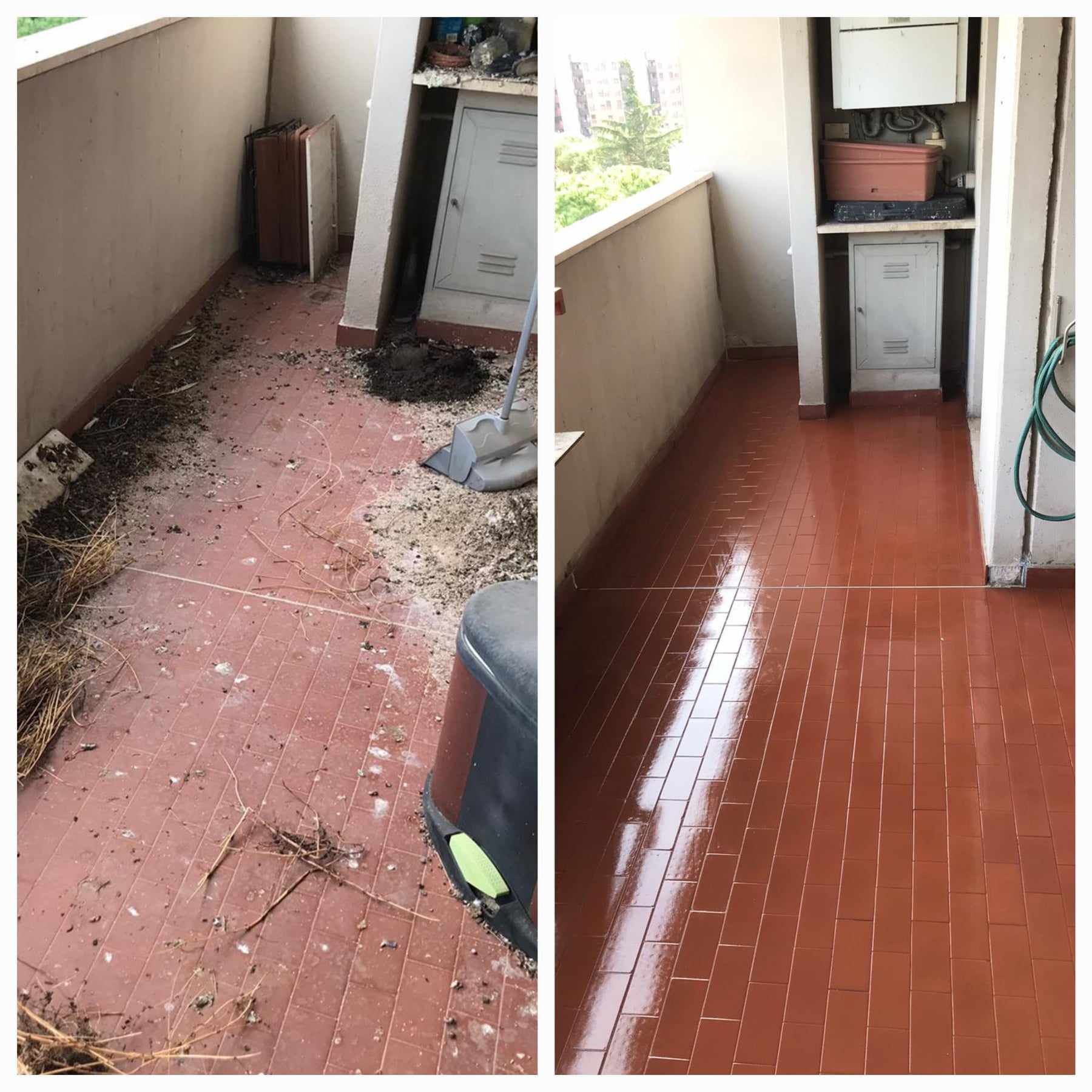 Pulizia pavimento dal guano piccione Roma