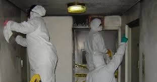 pulizie post incendio a roma