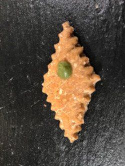 Thunfischkeks Raute Hunde eigene Herstellung