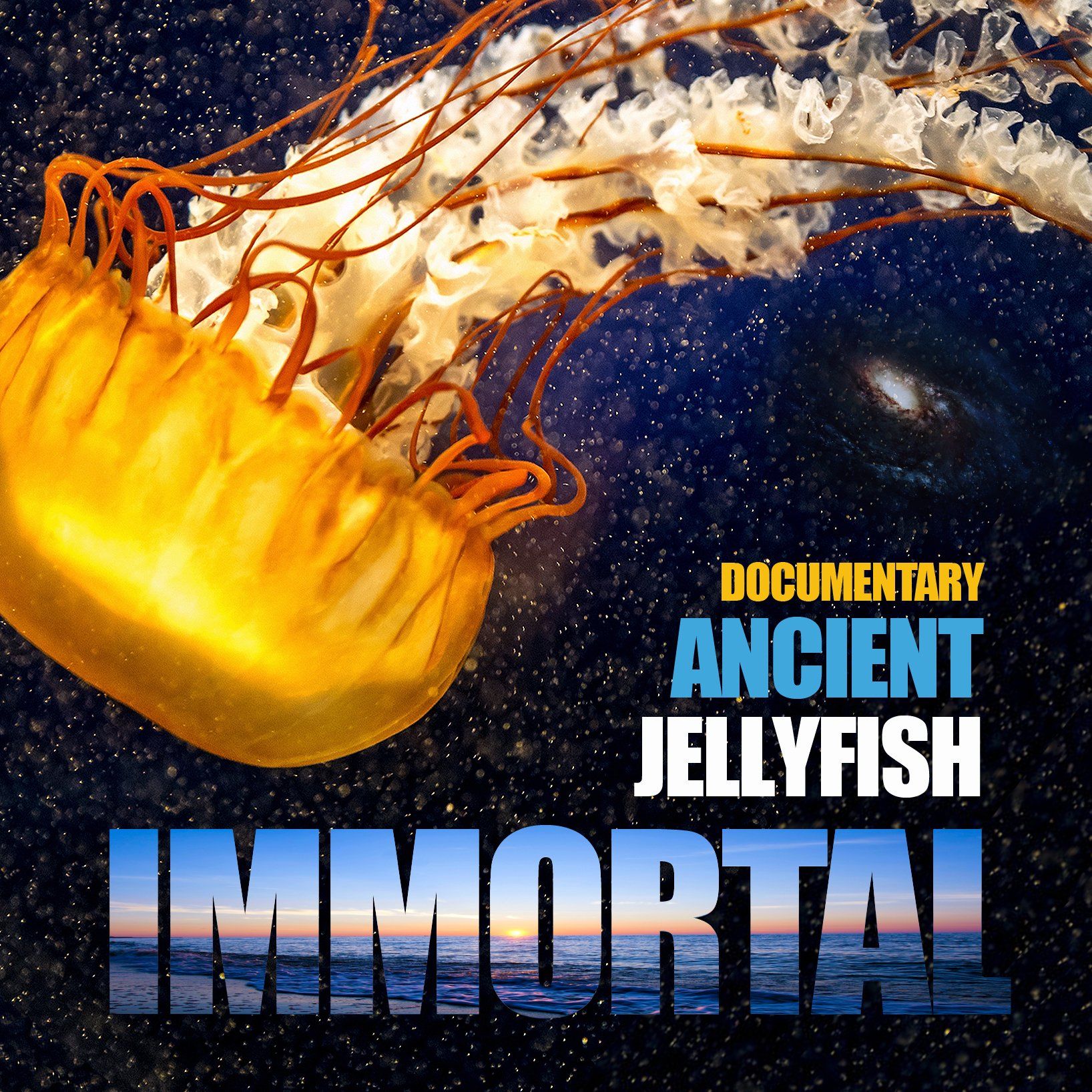 Inspiration is everywhere. The Creative Fire is fueled by the endless beauty of life.