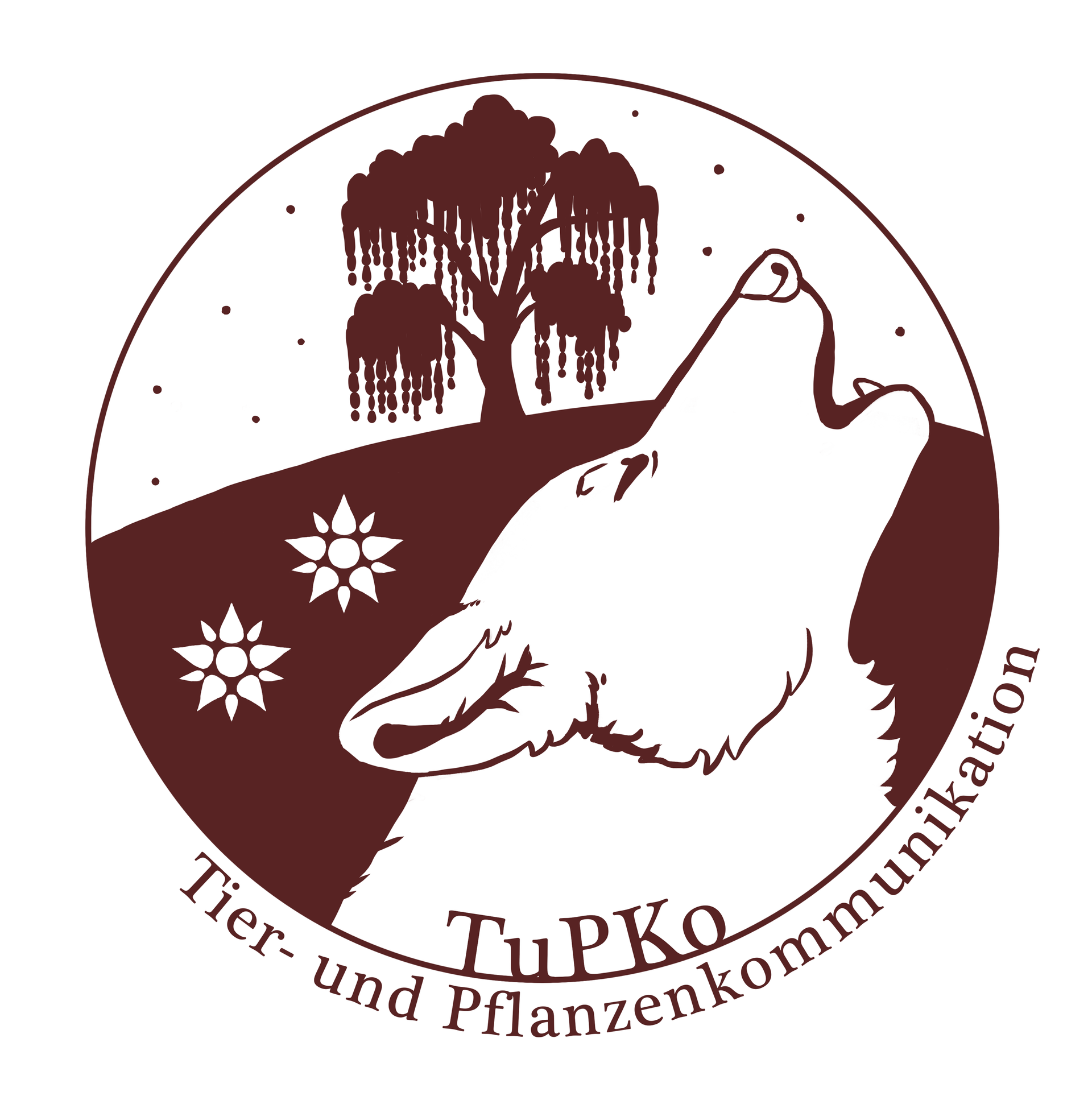 Tier und Pflanzen Kommunikation