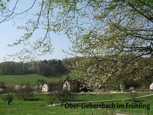Pferdehof Dörsam - Ober-Liebersbach im Frühling