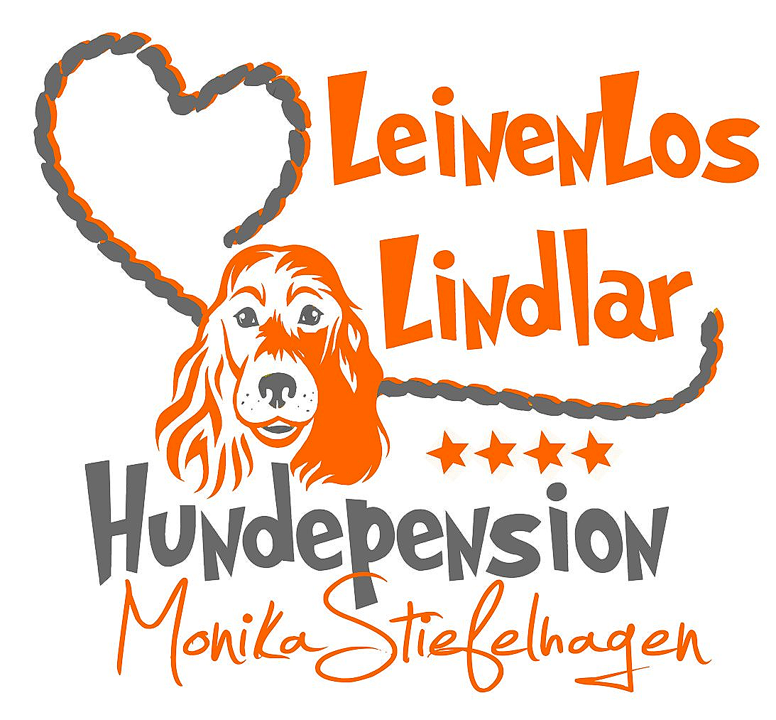 Hundepension für die kleinen Vierbeiner LeinenLos Lindlar
