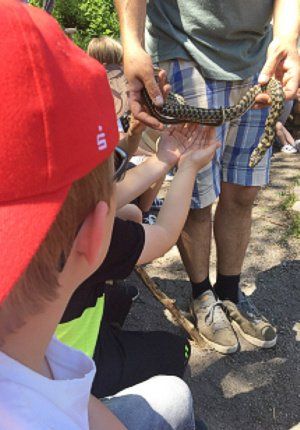 Schlangensafari Schlangensafari