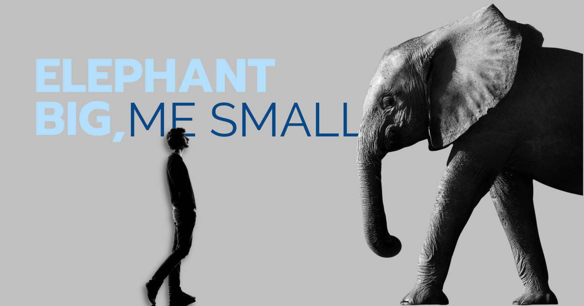 Elephant big, me small. I AM NOT A LIFE COACH