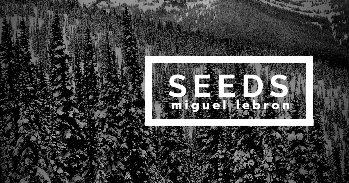 Seeds