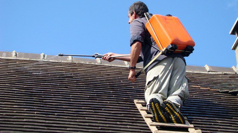 entretien toiture Toulon