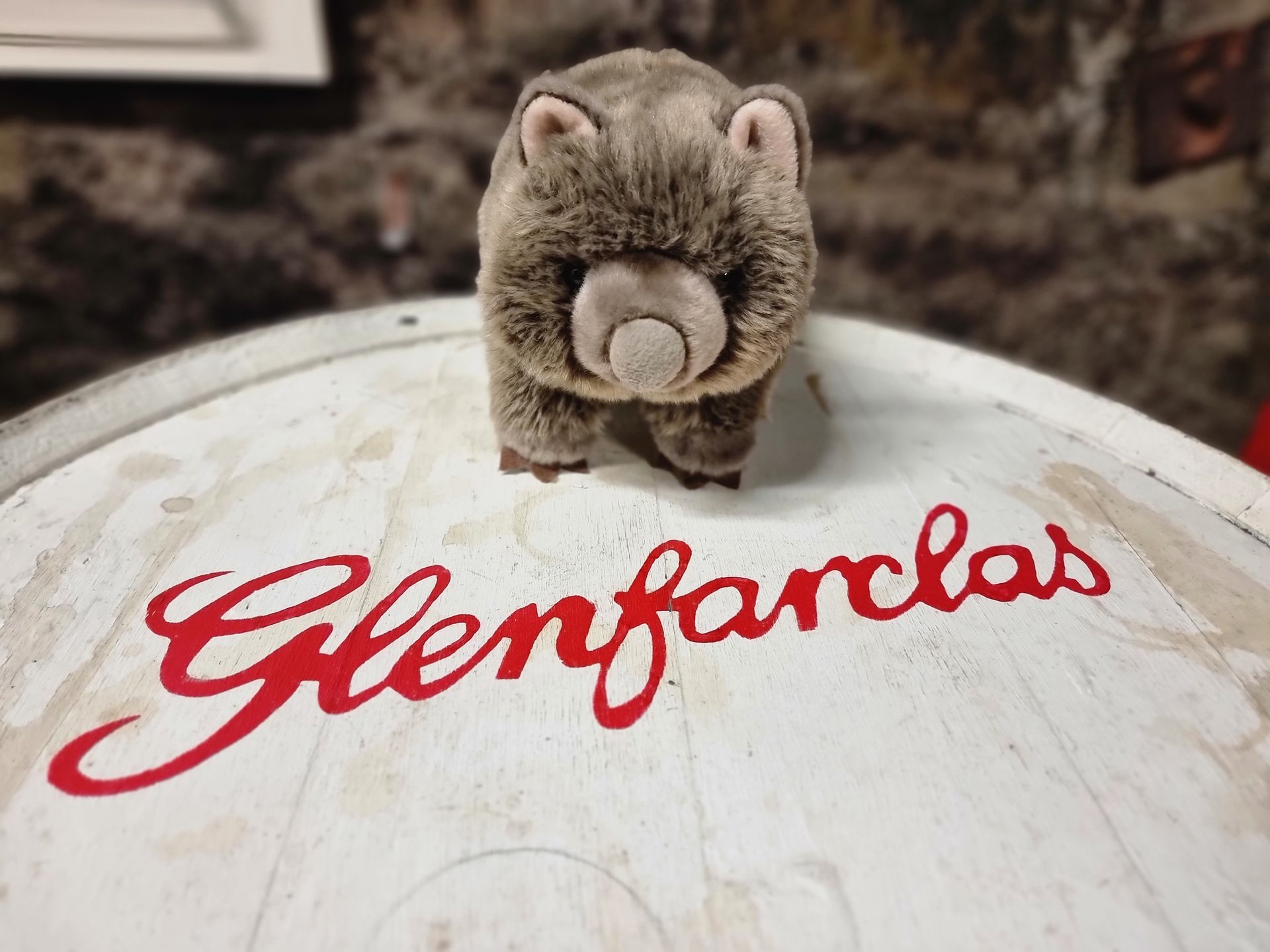 Whisky Wombat bei Glenfarclas
