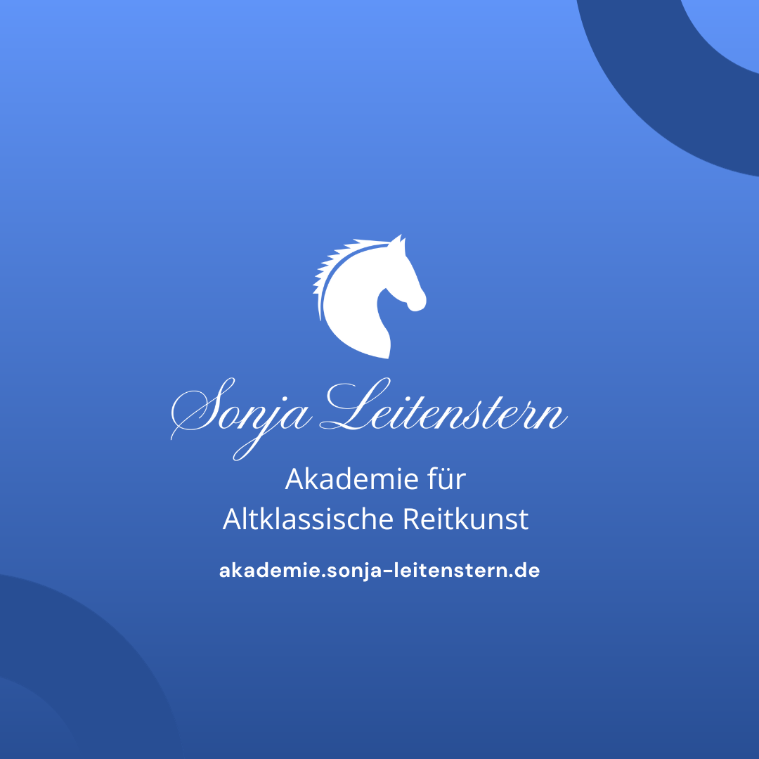 Akademie