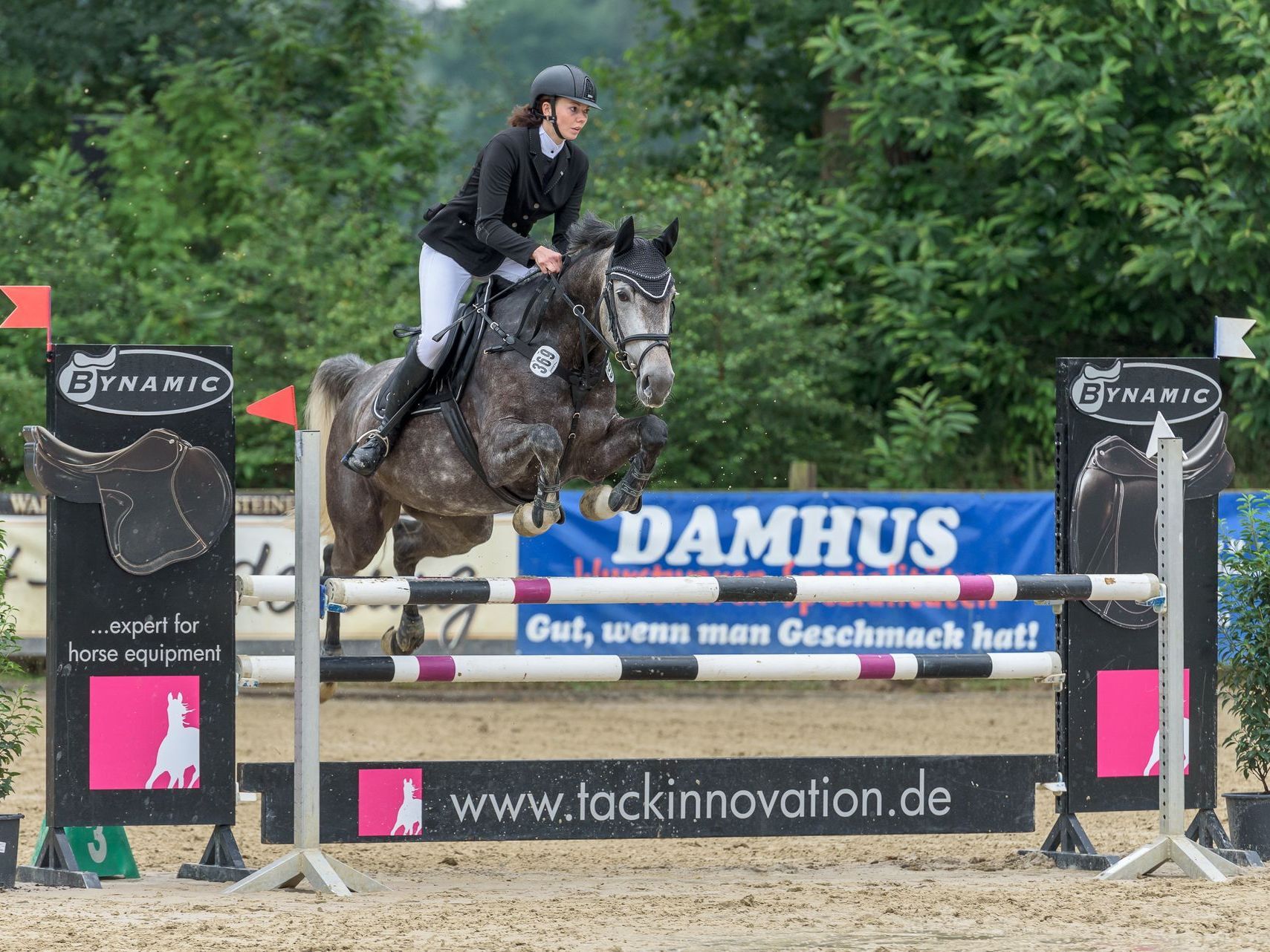 Hier geht es zum Pferd. (Foto: Rimondo.de)