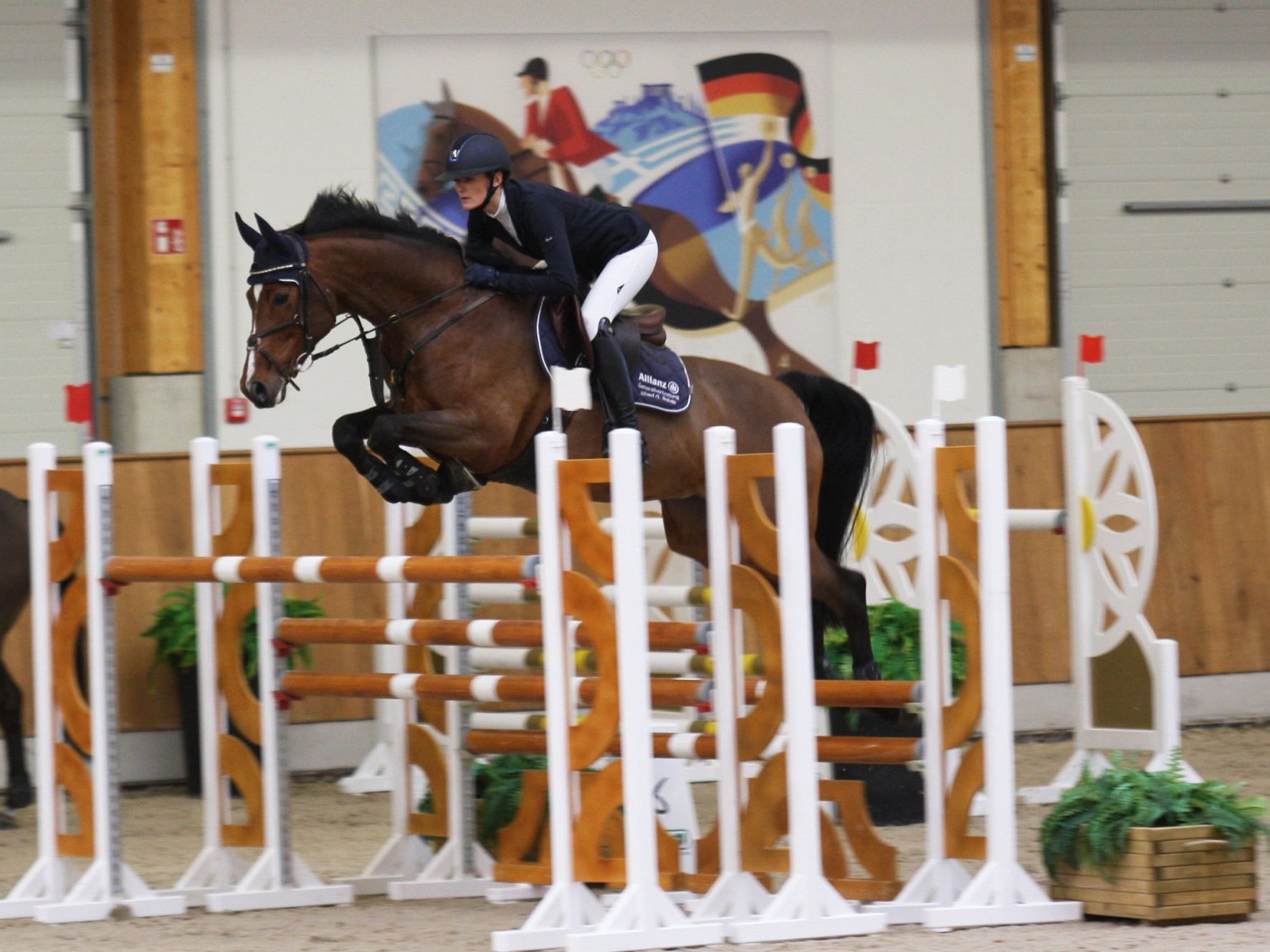 to the horse (Photo: C. Köhne)