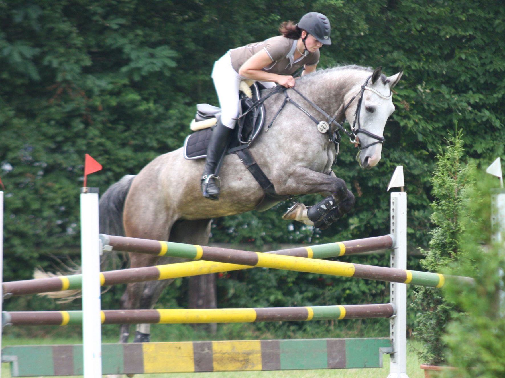 Foto: C.Köhne