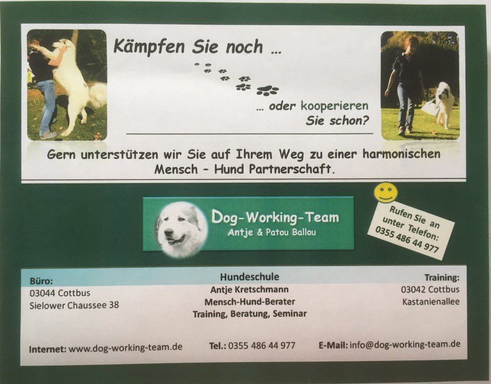 Dog-Working-Team Flyer